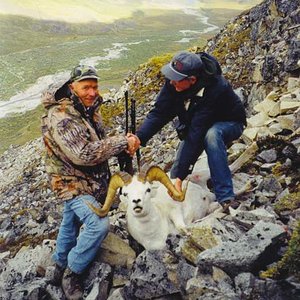 I guided Bill from northern Michigan for this beauty of a dall sheep in the Nutzotin Mountains of Alaska.  I was working for Ray McNutt in 1998.