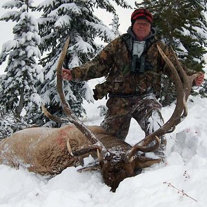 My best Bull Elk (365" gross) taken in Wyoming (Absoroka Wilderness) at 9500' elevation in October, 2006.  Hunted with Timber Creek Outfitters.