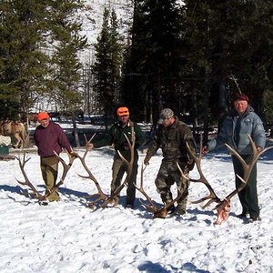 Happy hunters in the Timber Creek Outfitter's camp.  Wyoming - October, 2006