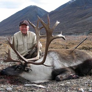 I took this Mountain Caribou on September 14, 2009 in the MacKenzie Mountains, Northwest Territories, Canada.