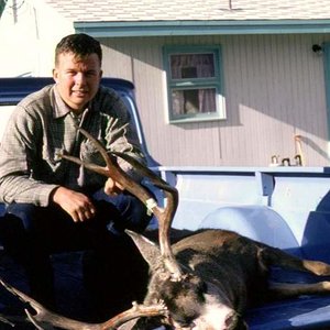 This buck taken in Montana on my "B" tag, in November 1965, remains my best mule deer to date.  High rack, 28-inches wide and grossed around