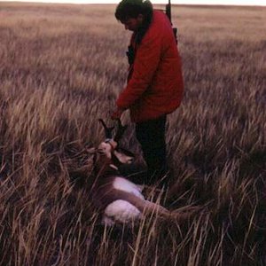 Just a nice picture of a buck I took in eastern Montana in the 60's.