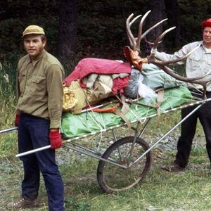 Four and a half miles with this load.  We were breaking spokes before we got out.  1971.