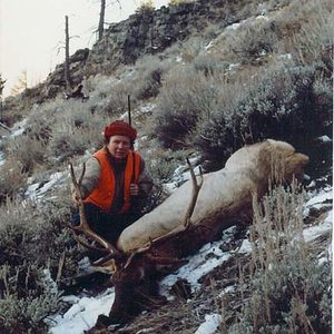 The longest shot I've ever tried on an elk - 410-yards.  1980.