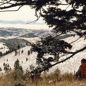 Looking for elk.  Magpie Gulch in the 1980's.