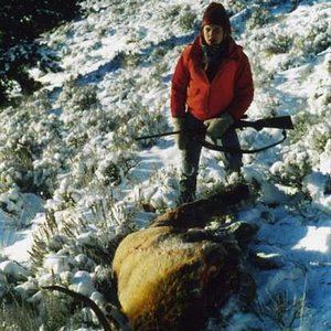 28 degrees below zero!  Tyler's first elk down.  Magpie Gulch, Montana - November 20, 1985.