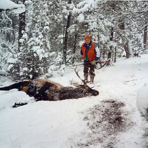 Tyler's 1992 bull where he skidded to a stop.