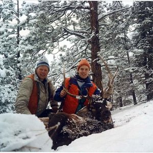 This bull was taken by my son, Tyler, during a snowstorm in 1992.