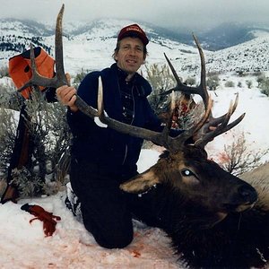 On that same morning of November 3rd, 1991, my hunting buddy Len had nine bulls run accross a big flat in front of him right after he heard me shoot. 