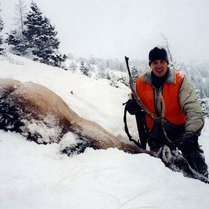 Tyler's one horned bull elk taken in 2000 in Montana.