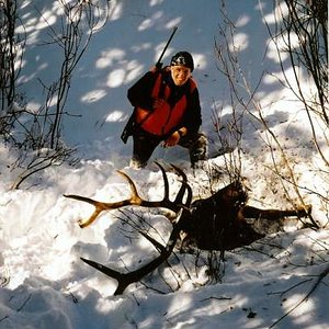 This is how Tyler's Halloween, 2002 bull landed after sliding down a steep hillside, creating his own avalanch, which just about buried him completly.