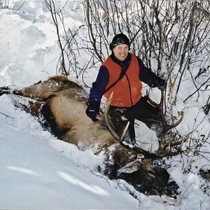 Tyler's Halloween, 2002 Bull after we pulled him out of a snowbank.