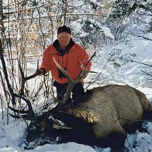 On halloween, 2002, Tyler and I got onto eight brow tined bulls in zero degree weather.  We ended up with one for each of us in a terrible hole that t