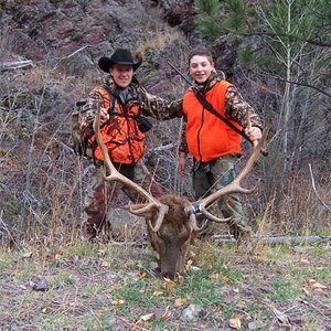 Tyler's 2005 Montana elk which was grandson, Dylan's first elk hunting experience.