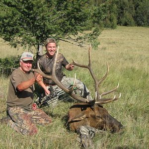 Openning day of archery season in Montana, 2009 - I bugled this bull in and my son, Tyler took him with his bow.