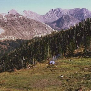 Another view of our Bighorn sheep hunting camp deep in the Sun River country September 1973.