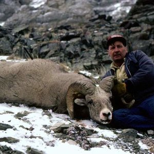 My friend Ray McNutt, from Alaska took this ram on our way out after messing up on a huge ram the day before and spending the night on the mountain. N