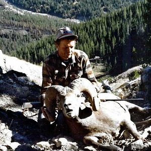 My best Bighorn which I passed on the first time I saw him.  After making a couple of trips into this Sun River country and looking over 40 rams or so