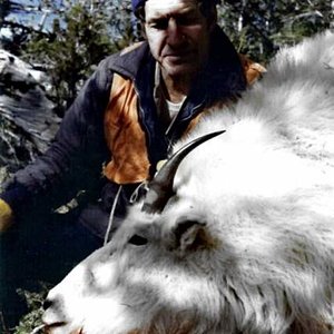 Hunting buddy, Jim Ford took this 91/2" Billy off the top of Hogback Mountain near Helena, Montana in 1977.