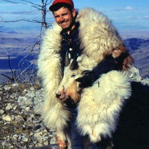 Friend, Frank with his 10" Billy which scored 49" and change B&C.  We stalked this goat near the top of Willow Mountain, Montana in Nove