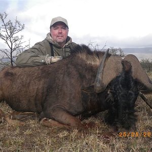 Black Wildebeest

Went to South Africa June2011, winter there, with rain, wind it was chilly , had snow flakes that day .