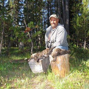 A limit of Blue grouse