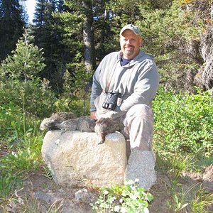 A limit of Blue grouse