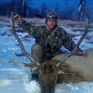 2011 Wyoming area 19 elk (7x6)