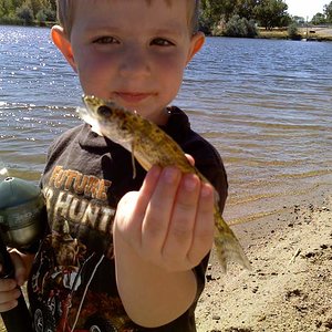 Jake's first walleye!