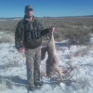 Calling yotes 2