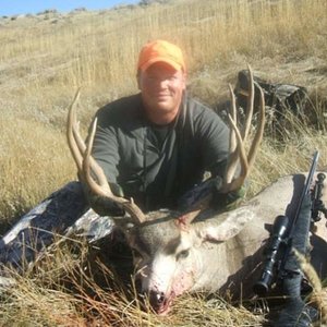 Bighorn's Muley (2010)