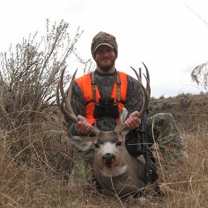 2009 Muley