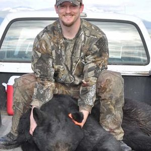 Bear 2011