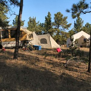 Elk camp 2010