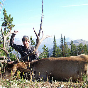 Elk%20Photo