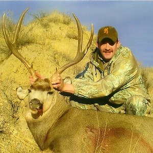 2007 Mule Deer
