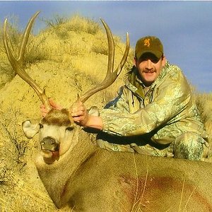 2007 Mule Deer