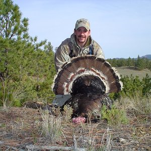 2008 Spring Turkey