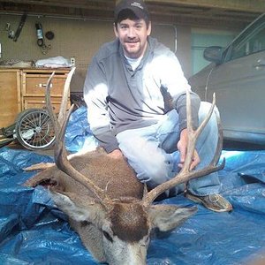 2009 Mule Deer