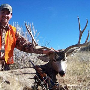 2010 Mule Deer