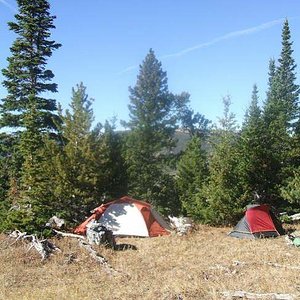 2010, Bighorn MTNs, WY Mule Deer Camp