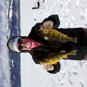 Ice fishing 2012