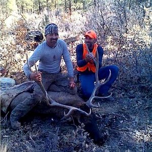 robs elk