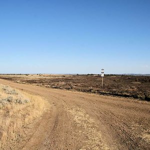 Carl's Camp Road, you can see where the wolf creek fire stopped