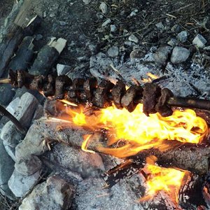 Sheep Backstraps