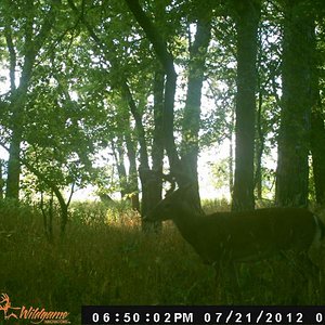 2012 VERMILLION CO 006