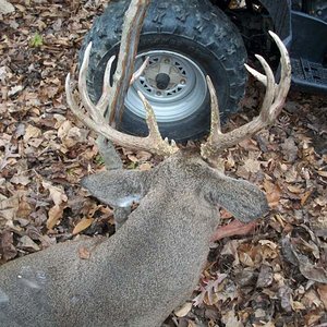 WES 2011 BUCK 006