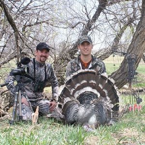 2012 Archery Turkey SD