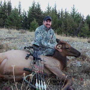 2012 Archery Elk