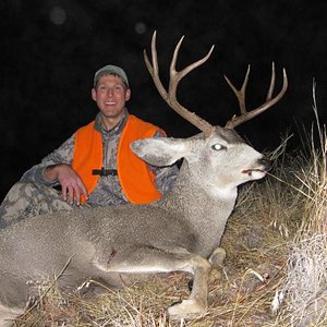 2012 MT Mulie